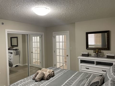 Large bedroom, lots of natural light and plenty of storage space.