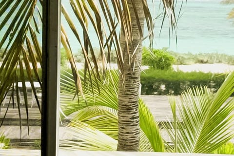 Ocean beach view

