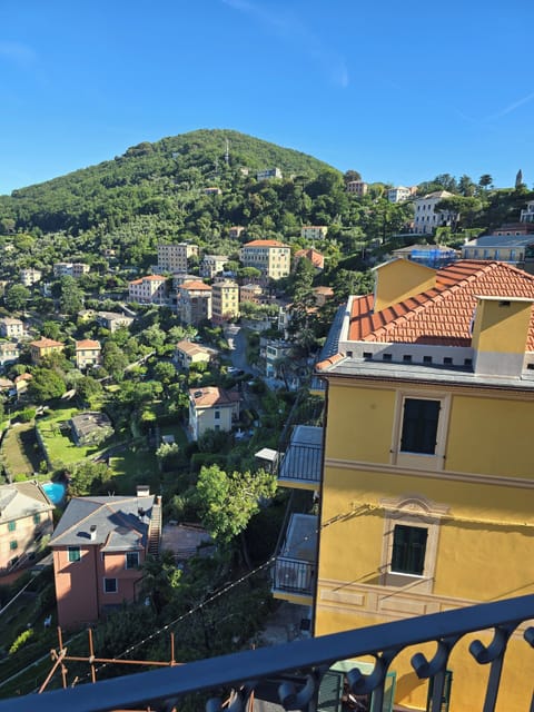 Balcony view on the north side 