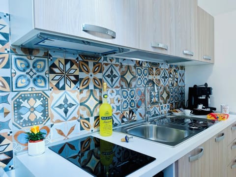 Classic Apartment, 1 Bedroom, Kitchen | Private kitchen | Fridge, microwave, stovetop, espresso maker