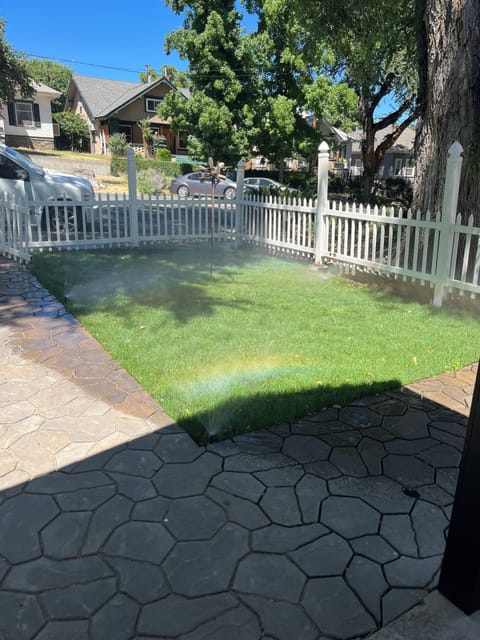 Front yard