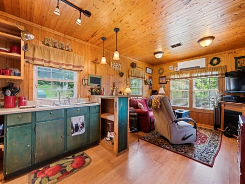 Cabin 1 Kitchen-Bar Area for Diniing and Livingrooom - Bar top has 2 chairs