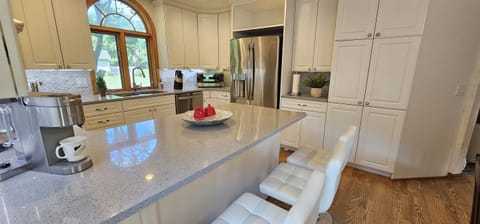 Chef's kitchen with French refrigerator