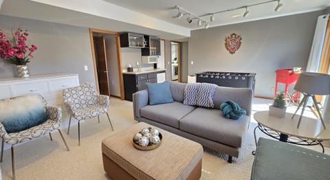 Lower level living room