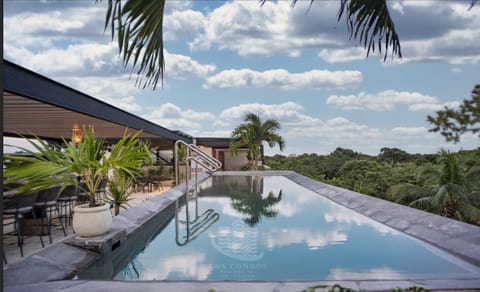 Rooftop infinity pool with jungle views at AWA Playacar