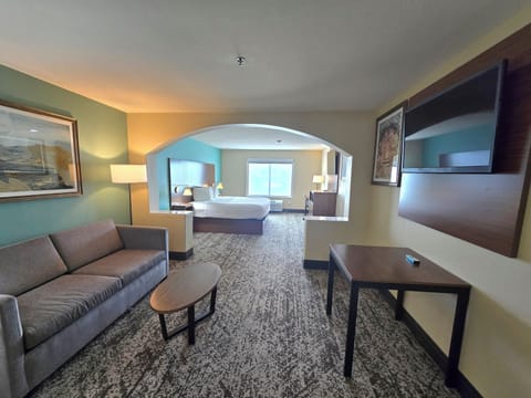 Suite, 1 King Bed, Non Smoking, Refrigerator & Microwave | Living area | TV