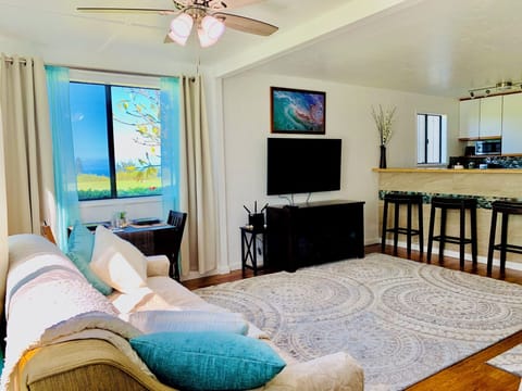 Queen size sleeper sofa and smart TV with internet.
