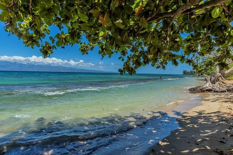 Condo, 1 Bedroom | Beach | Beach nearby