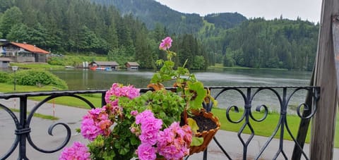 Basic Double Room, Balcony, Lake View | Lake view