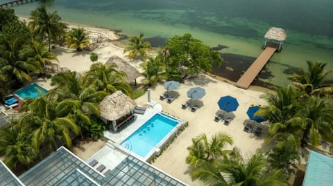 Conmigo Villas - 6 Bedroom Beachfront w/ Pool (3941)