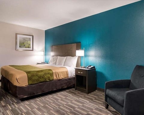 Single Room, 1 King Bed, Non Smoking | Blackout drapes, soundproofing, iron/ironing board, free WiFi