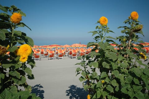 Private beach nearby, sun loungers, beach umbrellas