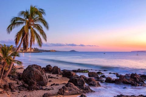 Condo, 2 Bedrooms | Beach | On the beach
