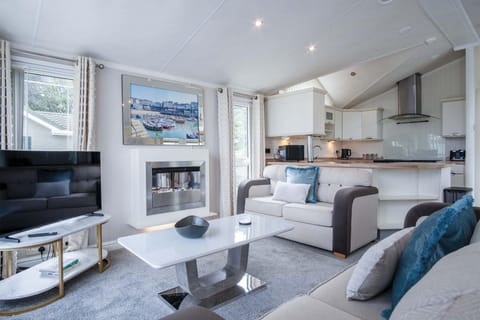 2 Manor Lodge - 2 Bedroom Lodge - Pendine (23745)