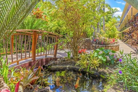 Beautiful Prince Kuhio Grounds