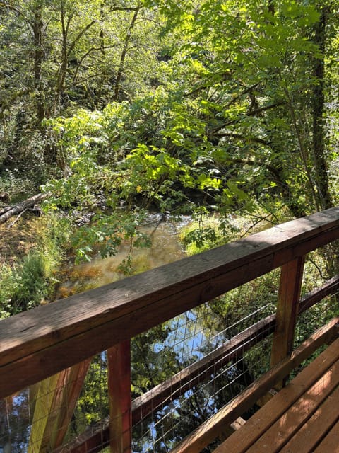 The creek from the back deck