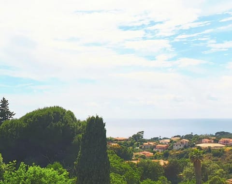 Sea view from the veranda