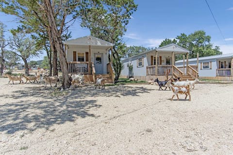 Animal lovers of all ages love the friendly ducks, goats, and chickens that populate the Lucky Star Ranch!