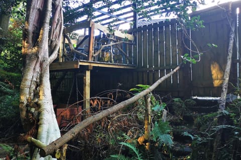 Cabin | Property grounds