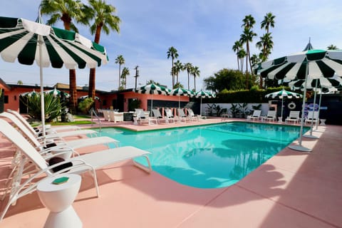 Palm trees check!