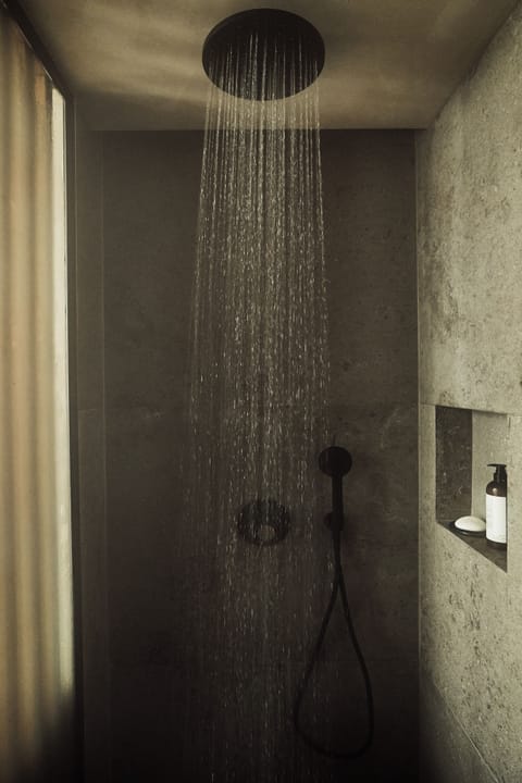 Shower, free toiletries, hair dryer, slippers