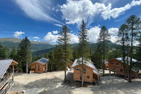 Immediate Surroundings [summer] (<1 km)