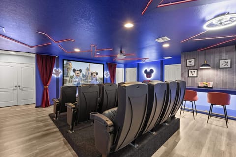 Disney Themed Large Family Movie Theater