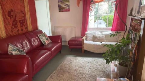 House | Living area | TV