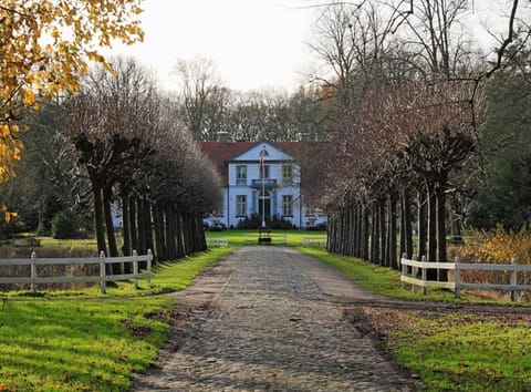 Apartment | View from property