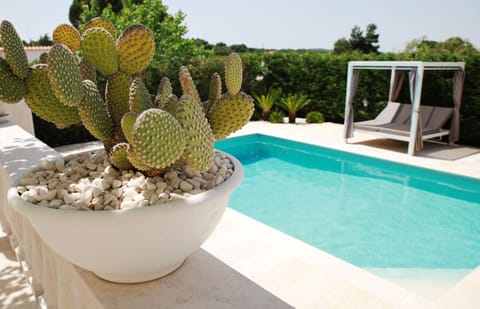 House | Pool | Indoor pool, outdoor pool