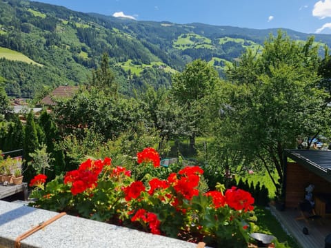 Apartment | View from property