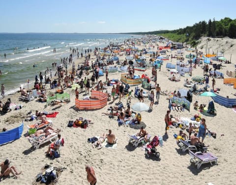 House | View from property