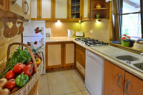 House | Private kitchen | Electric kettle, toaster, highchair