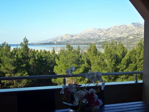 Apartment | View from property