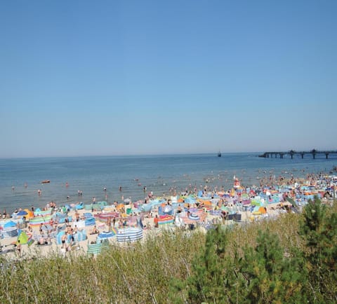 House | View from property