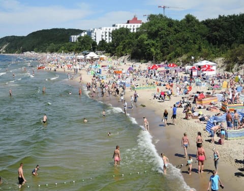 Apartment | View from property