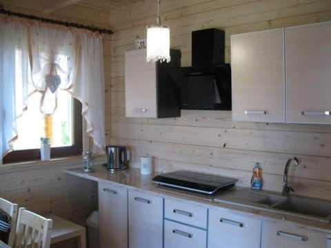 House | Private kitchen | Electric kettle, toaster, highchair