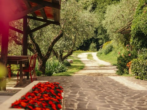 Apartment | Exterior