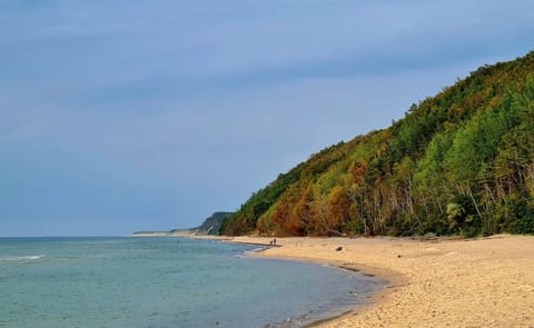 House | View from property