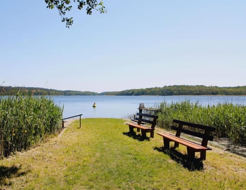 House | View from property