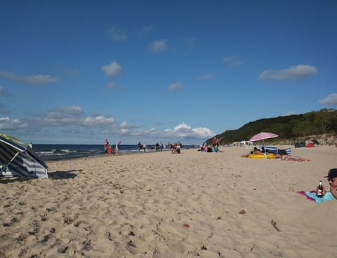 House | View from property