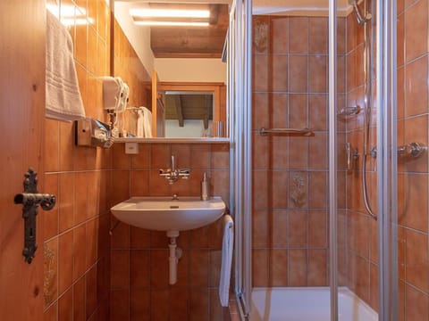Single Room | Bathroom | Hair dryer, towels