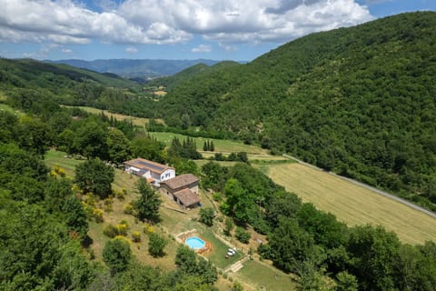 Garden, Outdoor, Pool, Scenic View