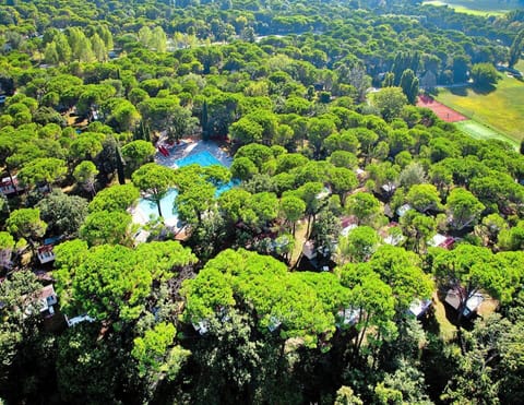 Bungalow | View from property