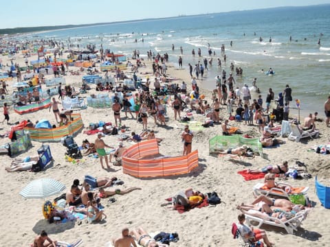 House | View from property