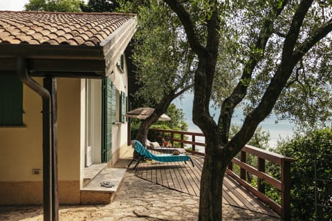 House | View from property