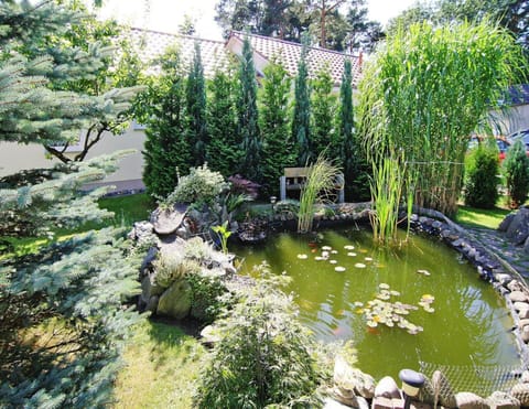 House | View from property