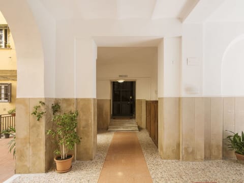 Plant, Flowerpot, Houseplant, Interior Design, Beige, Building, Wood, Flooring, Door