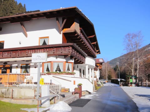 Balcony, Alps, Larch, Freezing