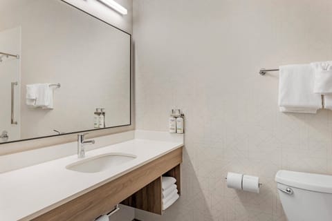 Combined shower/tub, free toiletries, hair dryer, towels